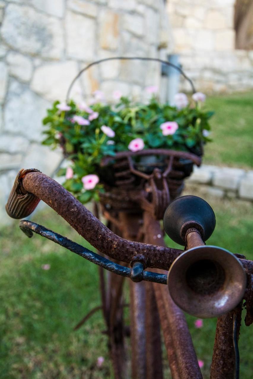Villa Manos Kalamítsion Amigdhálion エクステリア 写真